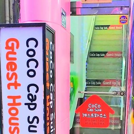 Coco Capsule Guesthouse Puszan Kültér fotó