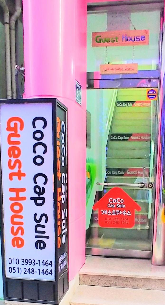 Coco Capsule Guesthouse Puszan Kültér fotó